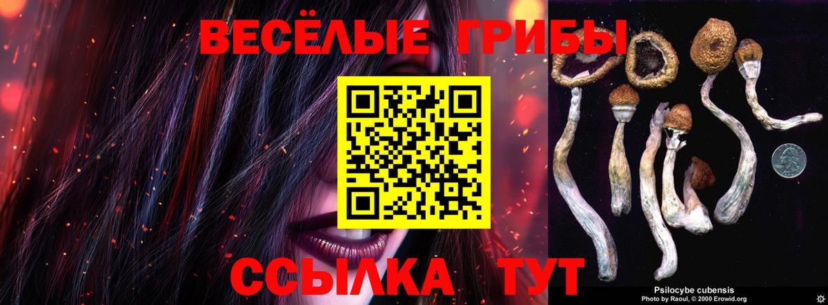Псилоцибиновые грибы Psilocybe  Вход с VPN  Барнаул 